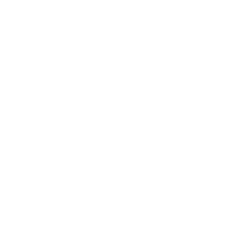 The BIM Consultant logo